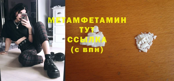 шишки Белокуриха