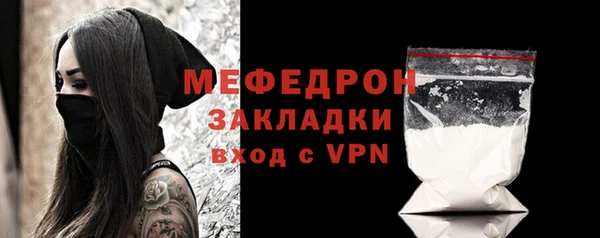 шишки Белокуриха