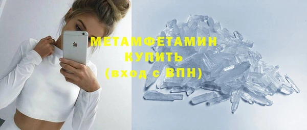 шишки Белокуриха
