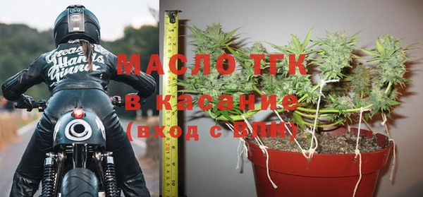 шишки Белокуриха