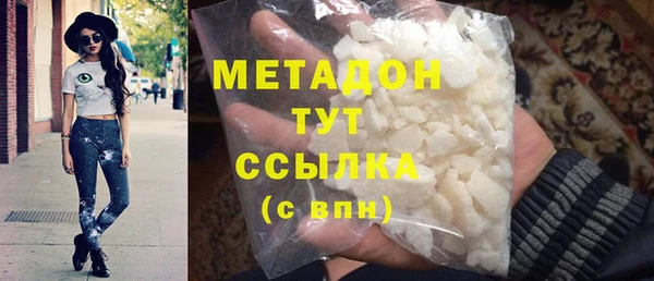 шишки Белокуриха