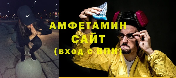 шишки Белокуриха